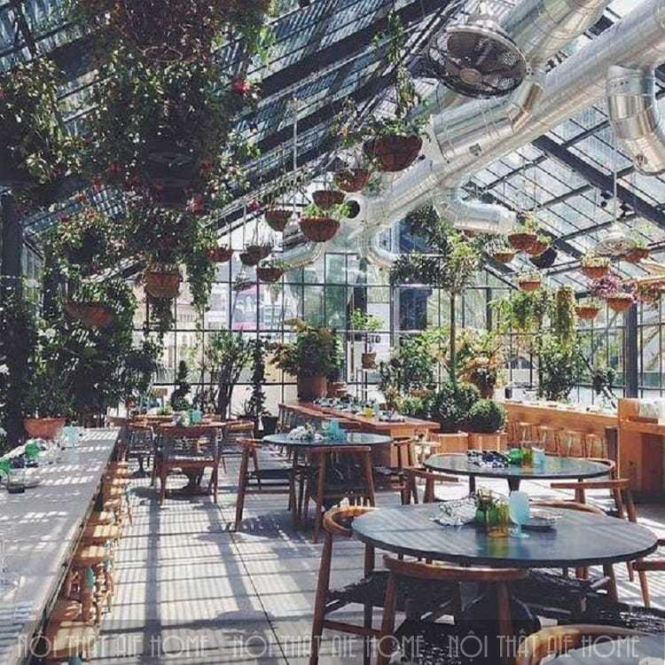 Ý tưởng thiết kế quán cà phê xanh - vườn ươm