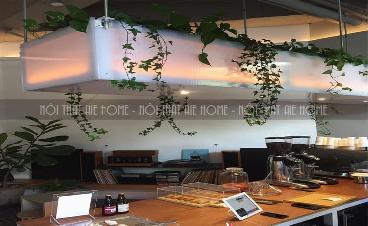 Không gian trong thiết kế quán cafe theo phong cách Hàn Quốc