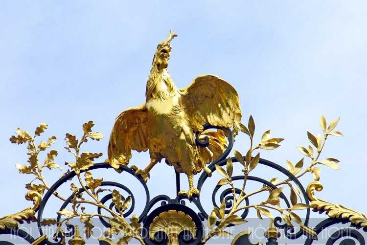 Thiết kế linh vật của đất nước Pháp đó là hình ảnh con gà